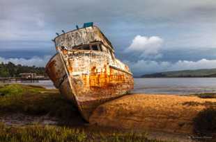 The Point Reyes-2341.jpg The Point Reyes-2341.jpg